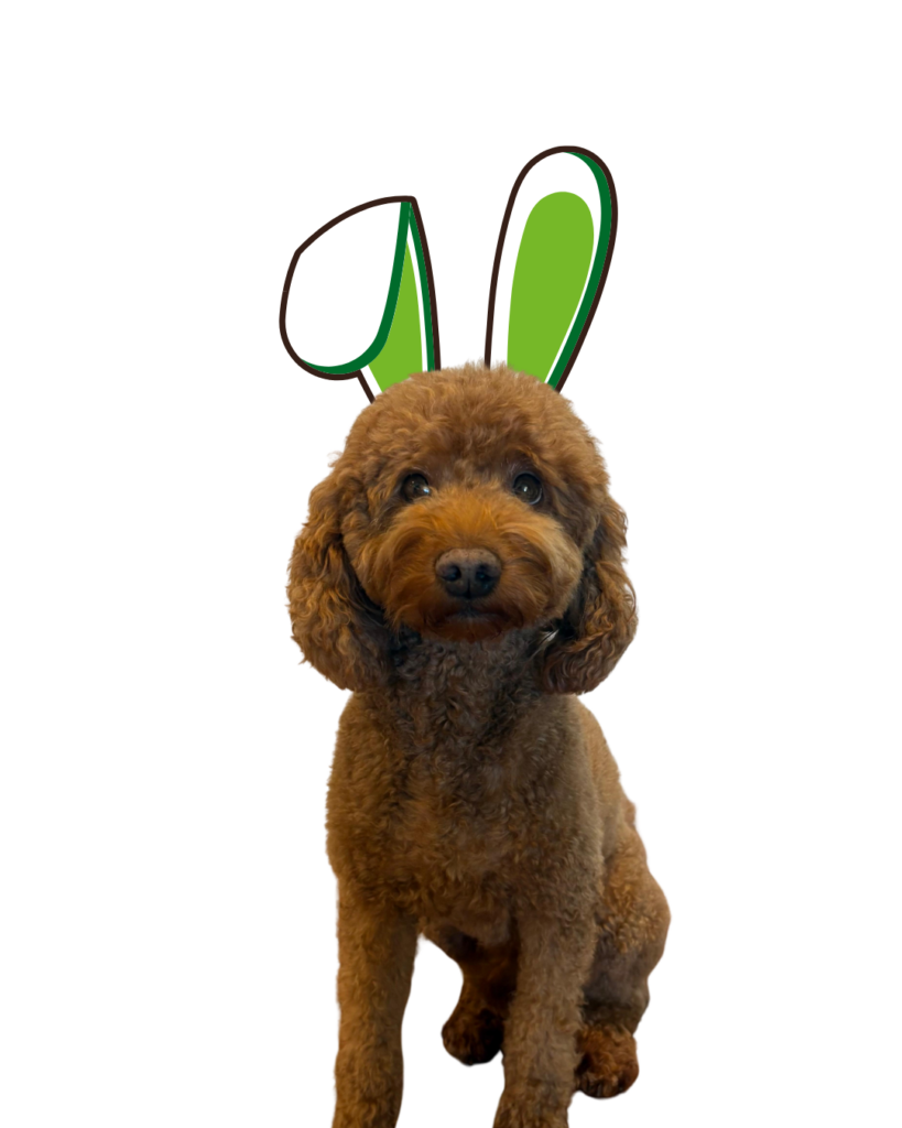 Ostern (3)